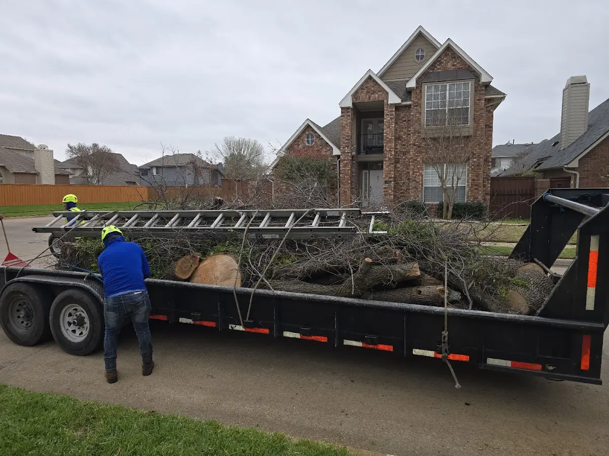 Expert Tree Pest Control with proper safety equipment in Saint Paul Park